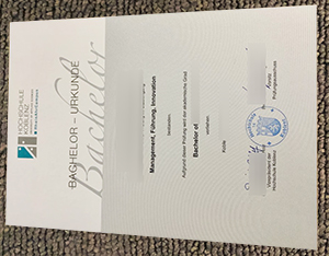 Hochschule Koblenz Urkunde