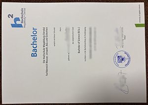 Hochschule Magdeburg-Stendal Urkunde