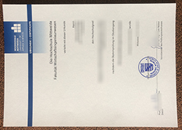 Hochschule Mittweida Credentials sample, Hochschule Mittweida Urkunde sample