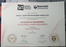 Singapore Institute of Technology degree certificate