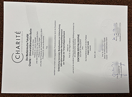Charité – Universitätsmedizin Berlin Urkunde