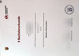 Universität Koblenz Bachelorurkunde Credentials sample