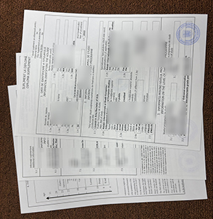 Universitatea din Bucureşti transcript sample