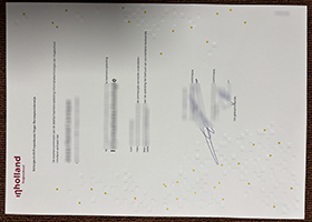 Hogeschool Inholland diploma sample