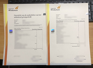 Windesheim transcript sample